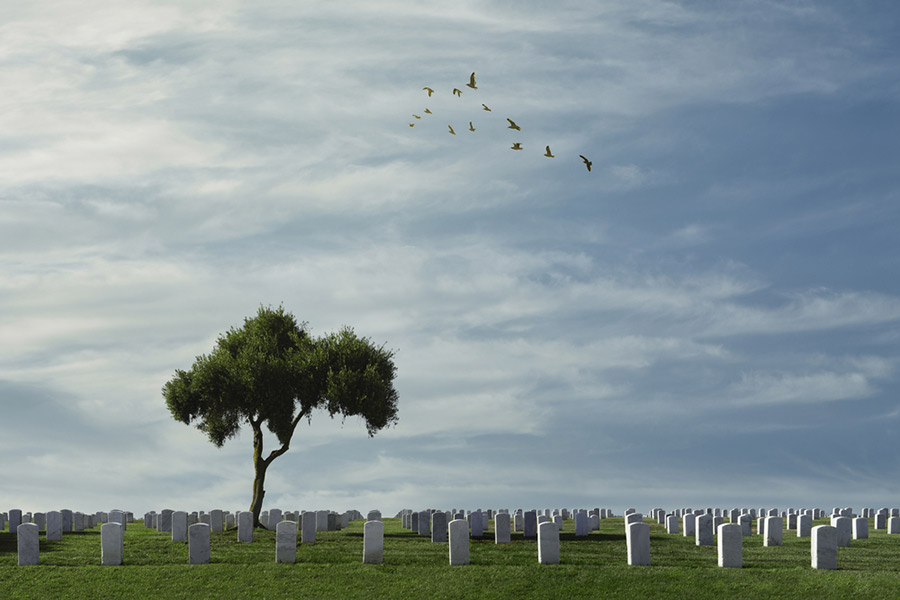 sex at a cemetary